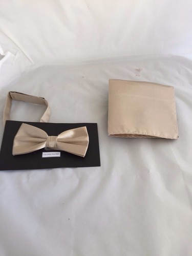 Shiny Champagne Polyester Tie Classic 3.3" OR Skinny 2.5" OR Bow tie OR Set - Picture 14 of 17