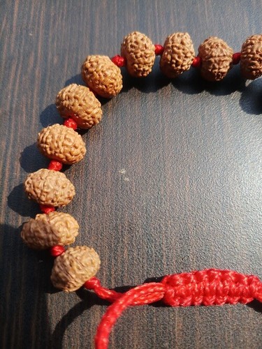 10 Bracciale Mukhi Rudraksha/Dieci Facce Rudraksh/Narayan 16 Perline Giava 8 MM~ Laboratorio - Foto 1 di 3