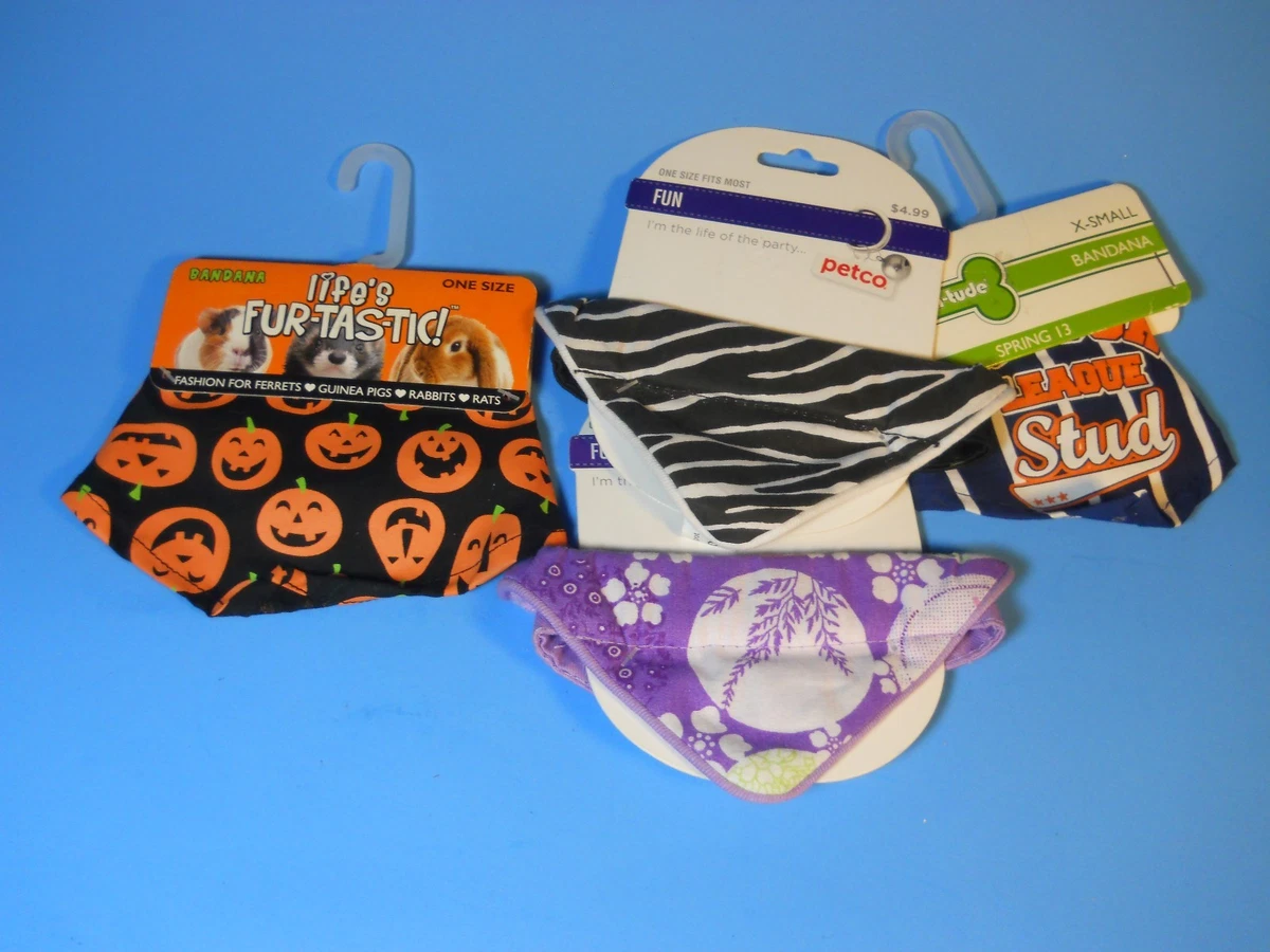Petco sales hamster toys