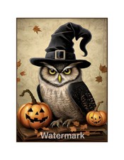 Halloween Owl Pumpkins Cotton Fabric Quilt Block Quilting Sewing Crafting D14