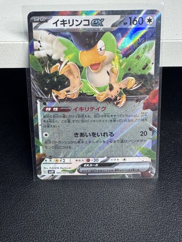 SV2P: Snow Hazard #065/071 Squawkabilly ex