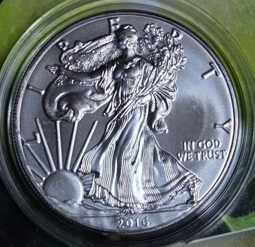 2016 American silver eagle ungraded MS quality in a capsule...no spots