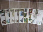 Japan Stamp First Day Cover National Treasure Series 8 Covers (国宝シリーズ) 1976～1978