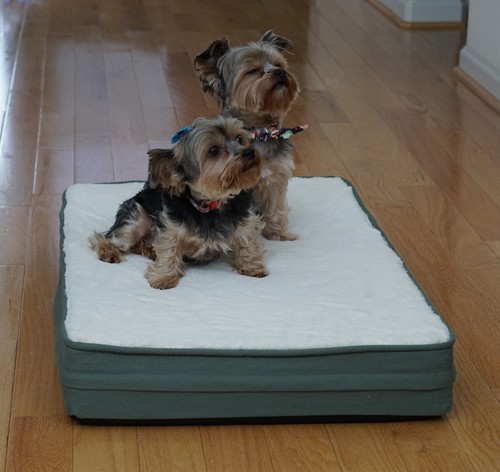 Cremefarbener superweicher Fleece-Plüschbezug Reißverschluss + wasserdichtes Futter 4 Hundebettunterlagen - Bild 4 von 15