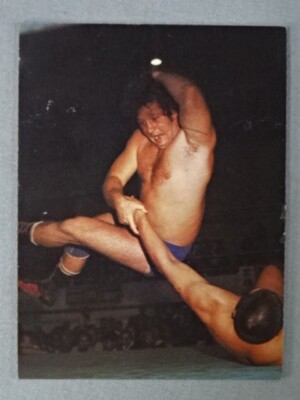 1976 yamakatsu All japan wrestling Terry Funk  WWE ECW WCWWWF
