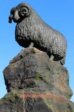 PHOTO  THE MOFFAT RAM BRONZE RAM SCULPTURE ATOP THE COLVIN FOUNTAIN. WILLIAM BRO