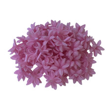 50 PCS Blooming Pikake 02 Clay Flower for Jewelry Making DIY Craft Supplies