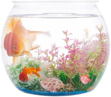 2Pcs Plastic Fish Bowls, 135Oz round Plastic Fish Tank 1 Gallon Aquarium Hydropo