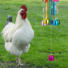 7 Pcs Chicken Toys, Hanging Chicken Wind Chime, 2 Pcs Coop Mirror Toys with B...