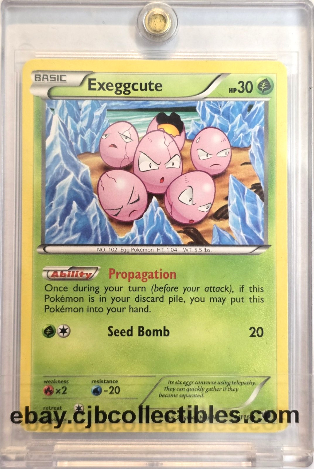 Pokémon EXEGGCUTE 4/116 Plasma Freeze - Played 🍒