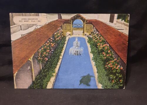 Postal de colección Saunders de Key West Florida acuario abierto. Souvenir - Imagen 2 de 3