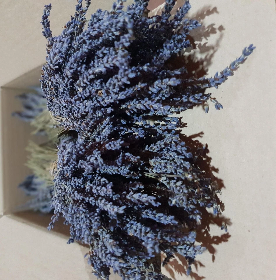 Griechisch Getrocknet Lavendel Bündel Biο 1200 Stiele 4 Buketts 30cm Ernte... - Bild 2 von 4