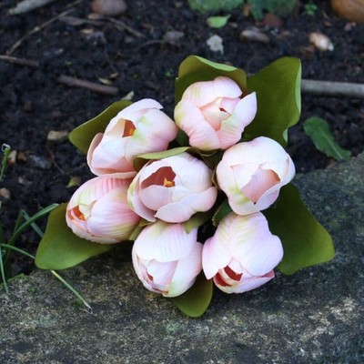 Tulpenbündel orange