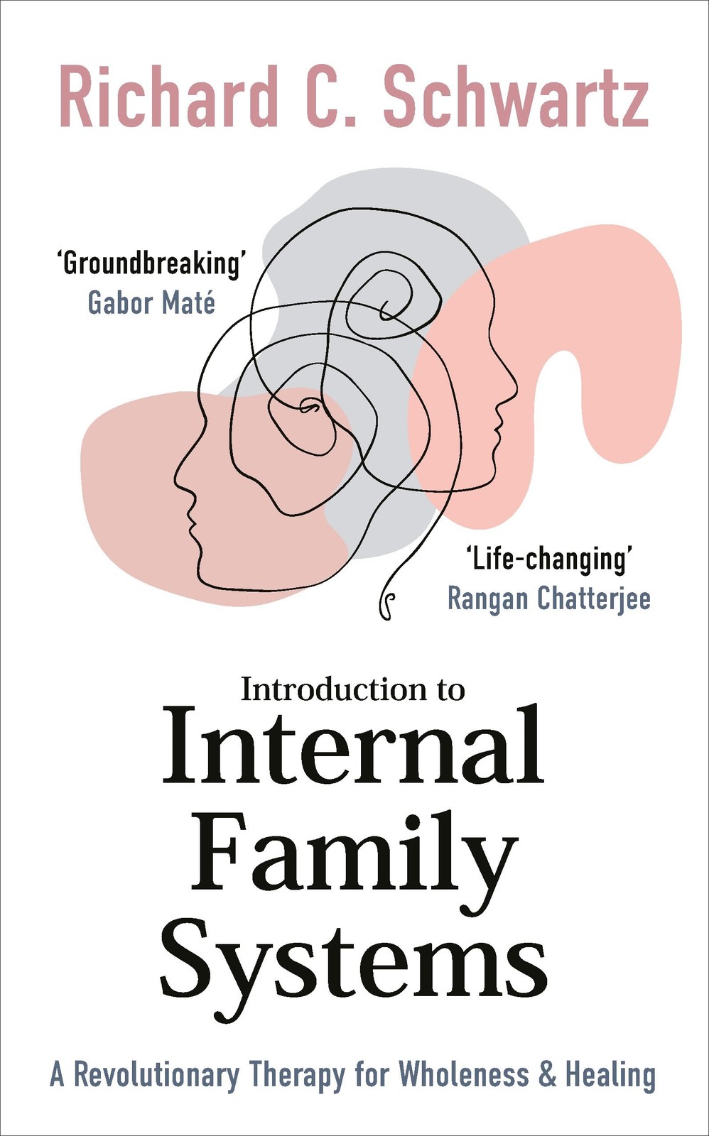 Introduction to Internal Family Systems by Richard Schwartz (PB 2023) - Image 3