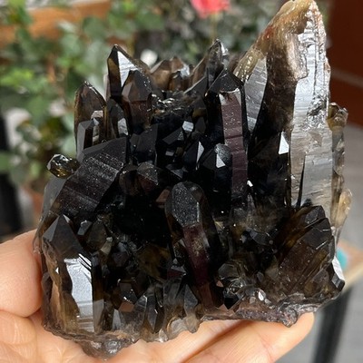 1.6LB Natural Black Smoky Quartz Crystal Cluster Raw Mineral Specimen