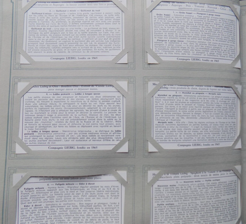 Chromos Liebig S1634 oiseaux plongeurs - Photo 2/2