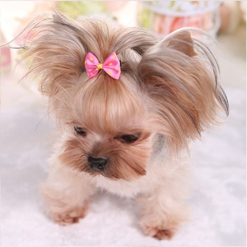 5Pcs Hair Bows For Cute Small Dog Cat Pet Puppy Bowknots DIY Grooming Accessory - Picture 9 of 14