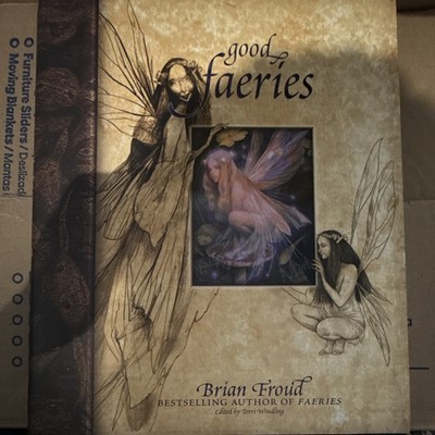 Brian Froud Good Faeries/Bad Faeries Illustrated Hardcover Book w/ Dust Jacket