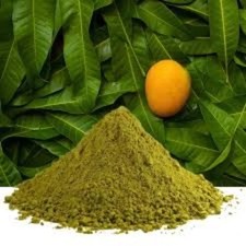 Dried Mango Leaves Powder 100 Organic Herbal Tea Free Shipping From SL 25g-200g