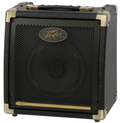 Peavey Ecoustic E20 Akustik-Gitarren Combo 20 Watt 8'' Lautsprecher