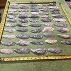 Lot of  64  Atlantic Oyster Slipper  Shells 4 To 5 1/4  Inch Long Crafts — photo 2