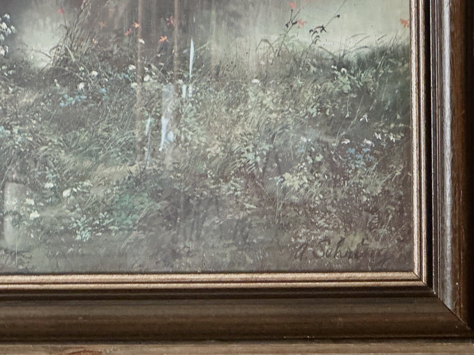 Picture 7 of 16