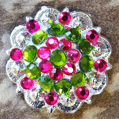 19HS 1.25 In Hilason Horse Saddle Tack Western Conchos Berry Glass Rhinestone - Picture 5 of 289