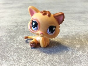 Littlest Petshop Chaton Chat 2414 Yeux Violet Lps Pet Shop En Loose Ebay