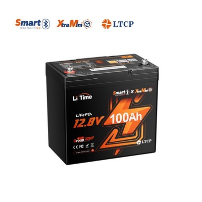 LiTime LiFePO4 12V 100Ah Mini Lithium Batterie 100A BMS für Wohnmobil Solar Boot