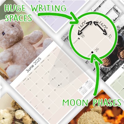 Calendario Da Parete 2025 Alpha Edition - 30x30 Cm, Design Moderno - Foto 4