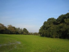 Photo 6x4 Field next to Grendon Wood Greatmoor Looking north-east, Grendo c2008