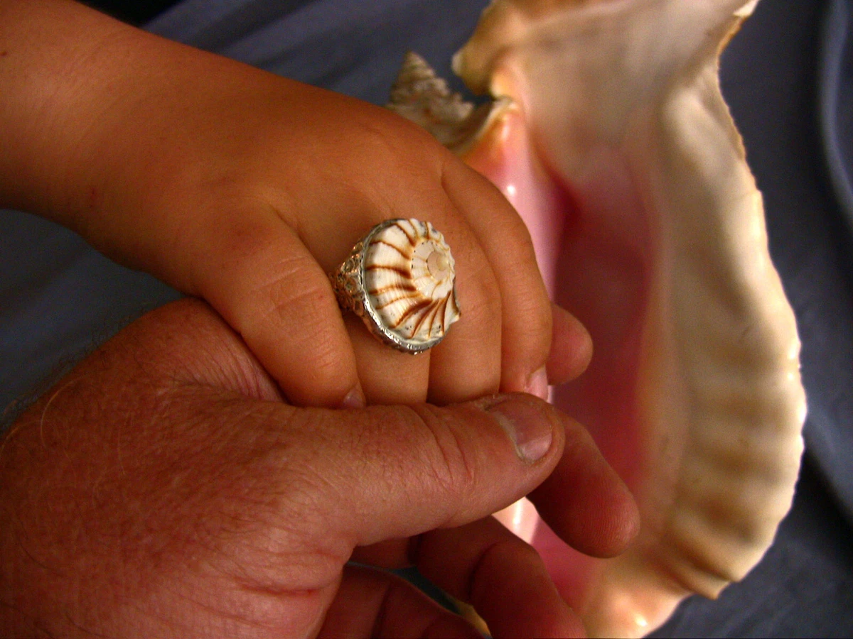 Whelk Conch Shell handmade ring in .999 silver artisan OPV fine
