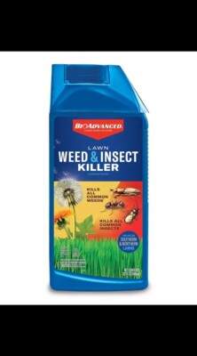 BioAdvanced Lawn Weed & Insect Killer, Concentrate, 32 oz