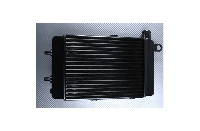 Radiateur gauche de rechange pour Aprilia RSV 1000 R idéal pour piste - 2