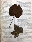 Foto 7 di 8