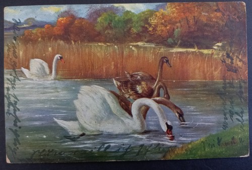 Undated Germany Postcard-Swan Scene ties 40pfg stamp cd Bamburg-Sinstorf - Bild 2 von 3