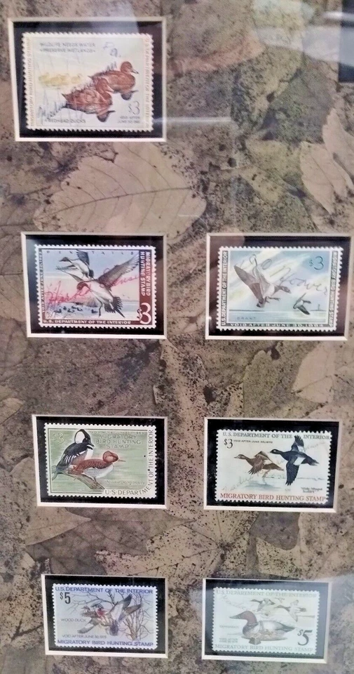 1960-1979 US Federal Duck Stamps 20 Years All Signed Used-Very Nice & Framed - Image 3 of 4