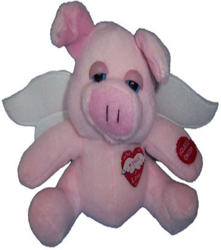 When Pigs Fly Singing Bright Spots Pig
