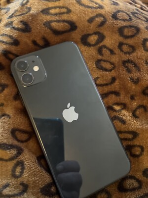 iPhone 11 With Tik ToK 