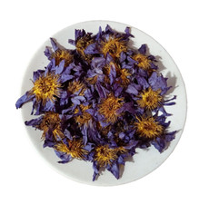 Nymphaea fleur de lotus bleu égyptien 100 % bio caerulea lotus d'eau effrayée