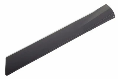 Genuine GM Passenger Side Door Molding 84514952