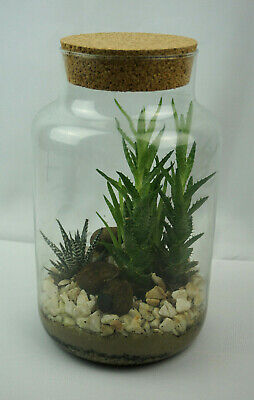 Flaschengarten Plant Terrarium Pflanzen Terrarium Glas Behalter Mini Garten Diy Ebay