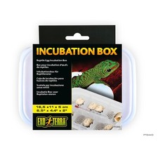 Exo Terra Reptile Egg Incubation Box Holds 12 Eggs For Reptile Incubator