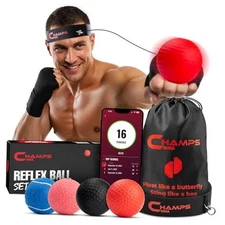  Boxing Reflex Ball Set with Punch Counter App | 4 Balls with Varying Weights, 