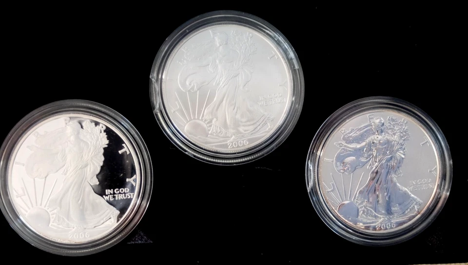 2006 American Eagle 20th Anniversary Silver Coin Set - Image 2 of 4