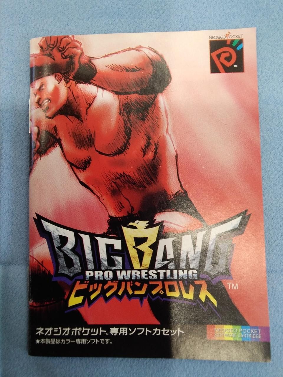 ネオジオポケット ビッグバンプロレス マ1《動作未確認です》ネオジオ