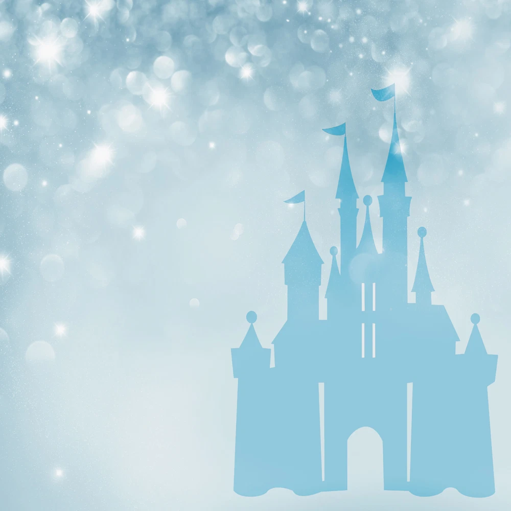 Disney sale princess castle