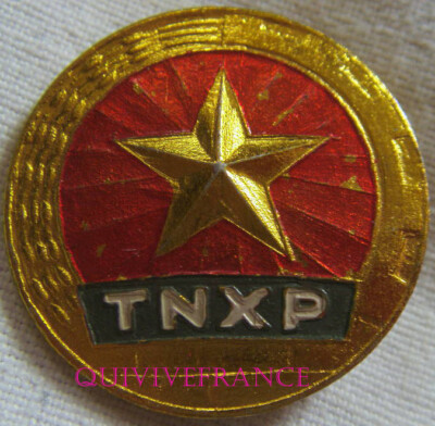 IN22797 - TNXP Frisur Abzeichen (Thanh niên xung phong) NORDVIETNAM