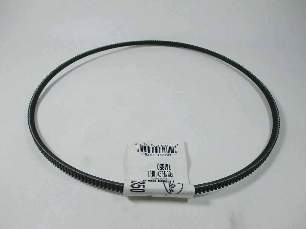 Foto 10 di 10