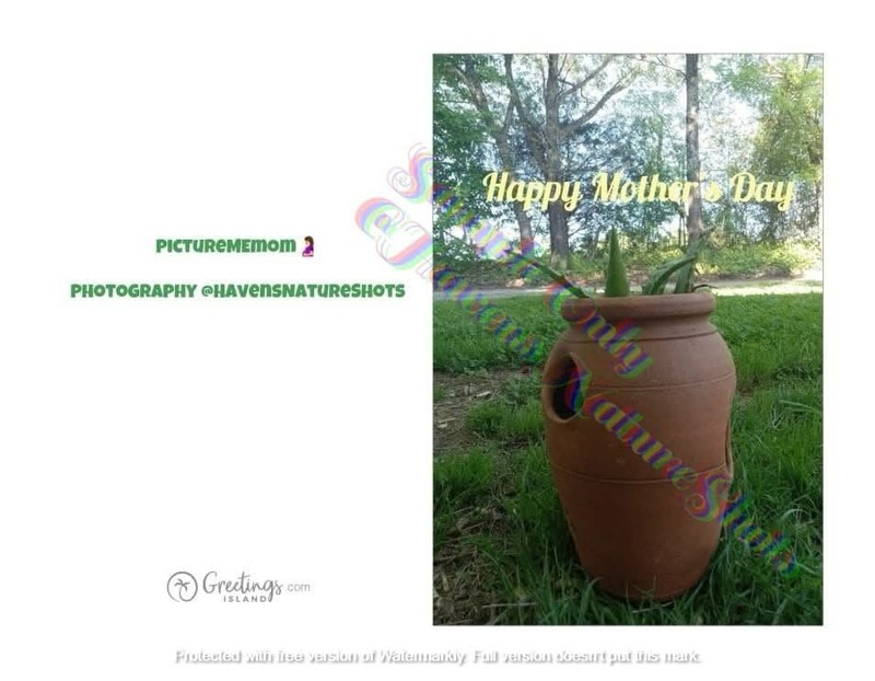 Mother's Day Card Potted Plant